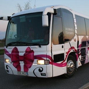 Party Bus Airport Transfer with Stripper