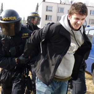 Fake Arrest (not available)